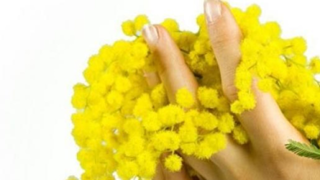 Festa della Donna 2015: frasi da dedicare 