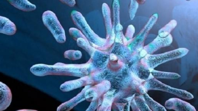 Influenza e virus intestinale 2015, i sintomi 