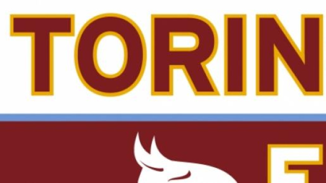 Zenit-Torino: ottavi di finale Europa League