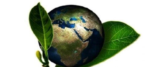 Engenharia Ambiental no Brasil