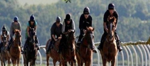 Racehorses must arrive at the course in peak form