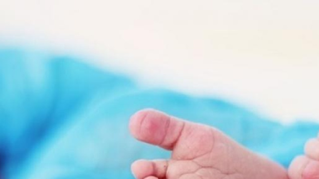 bonus beb&egrave; inps 2015 al via le domande