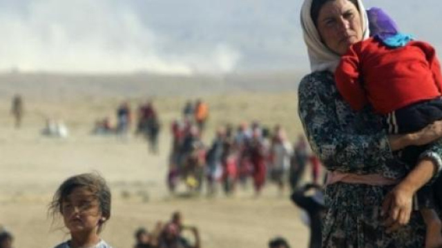 Yazidi in fuga verso il Cusrdistan