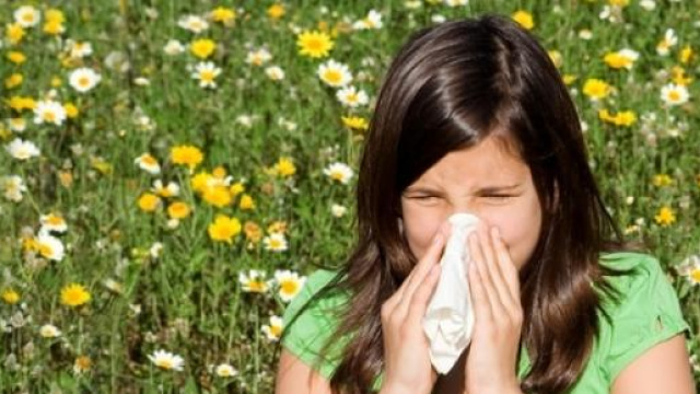 Allergie primaverili, rischio pollini e graminacee