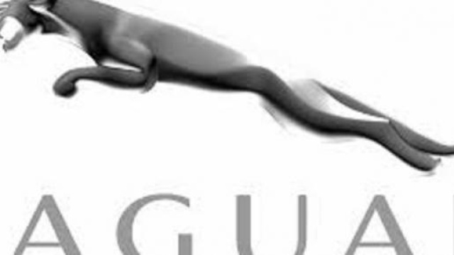 Jaguar: in arrivo novit&agrave; interessanti
