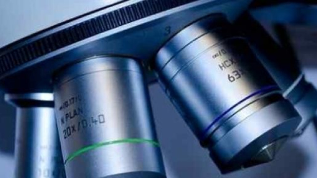 Una nuova speranza per trovare la cura Alzheimer