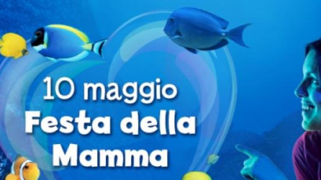 Festa della Mamma 2015: idee regalo
