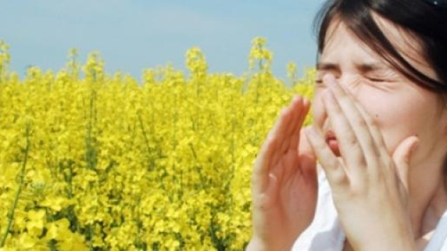 Influenza 2015 addio: al via allergie primaverili