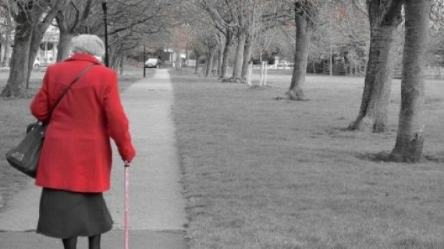 Pensioni, ultime news su opzione donna e quota 96