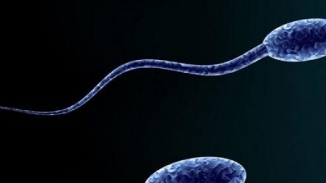 spermatozoi e pesticidi della frutta e verdura