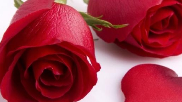 Tante frasi di Pasqua romantiche e dolci