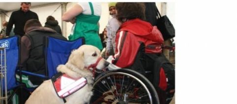 Terapia Asistida con Animales: nuestros fieles amigos, los mejores terapeutas