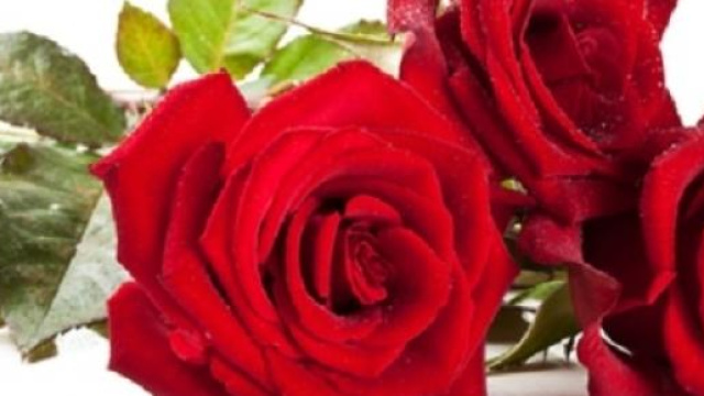 Quando si festeggia la Festa della mamma nel 2015?