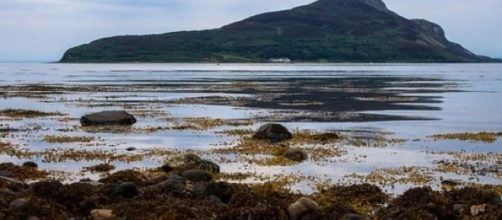 Lamlash Bay has a 'no-take zone' near it