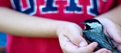 Pasi&oacute;n por ayudar a otros seres vivientes