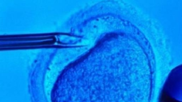 Embrioni umani modificati geneticamente in Cina