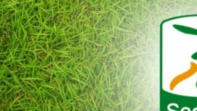 Italia - Serie B 2014-2015