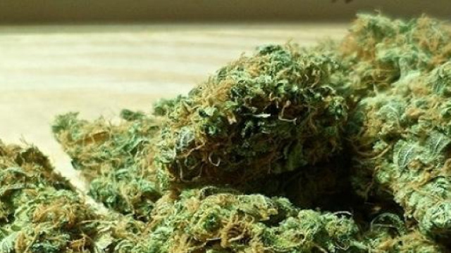 La marijuana peggiora la memoria