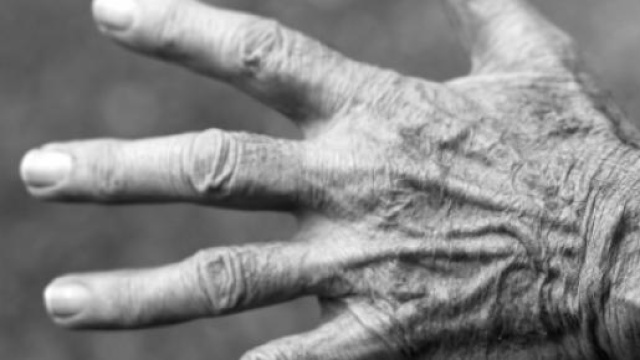 Riforma pensioni 2015, Boeri: ignavia di Stato