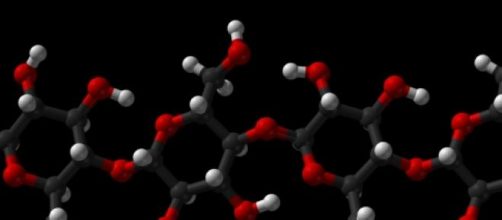 Los pol&iacute;meros, futuro soporte de datos digitales