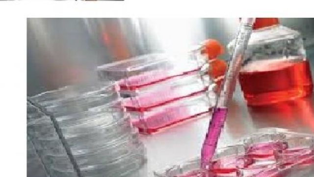 Caso stamina: i dubbi degli esperti e la speranza 