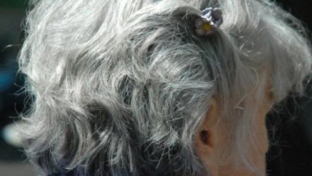 Pensioni 2015, l'Inps avvia le simulazioni