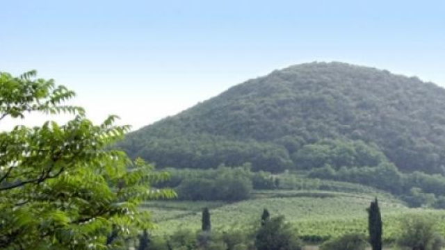 I partiti politici pronti per le elezioni