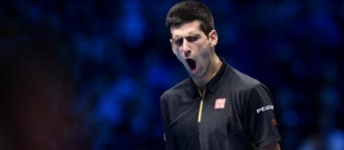 Solidez y plenitud representan el 2015 del serbio