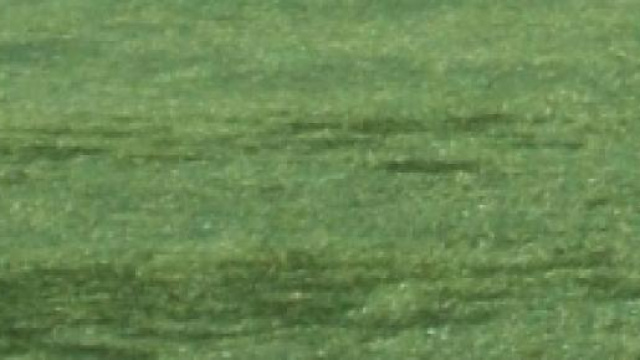 AS Roma: calendario, date prossime partite