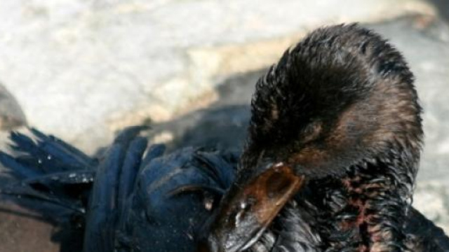 Nave Sorrento, si teme il disastro ambientale