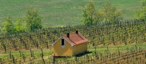 Estilo de una vi&ntilde;a y bodega h&uacute;ngara