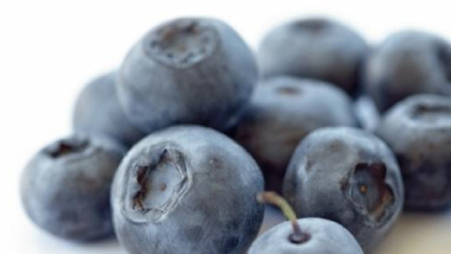 Alcuni mirtilli, frutti di bosco