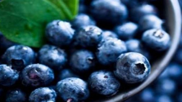 mirtilli e stress post-traumatico