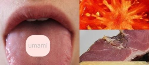 Los receptores se ubican en el centro de la lengua