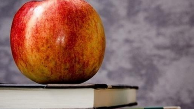 DDL scuola e formazione  