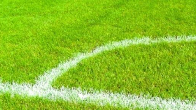 Pronostici Serie B 35esima giornata