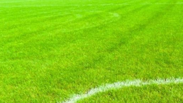 Pronostici Serie B: Catania-Trapani 35&ordf;giornata