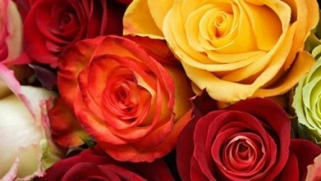 Qual '&egrave; la data della Festa della mamma 2015?