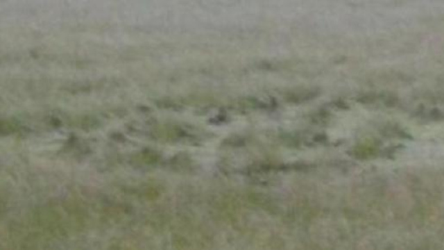 Ufo: cerchi nel grano a Valleogra. 