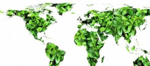 La ausencia de una política ambiental