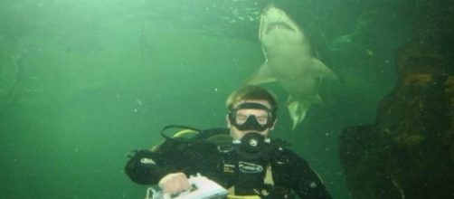 Campeonato mundial de plancha extrema