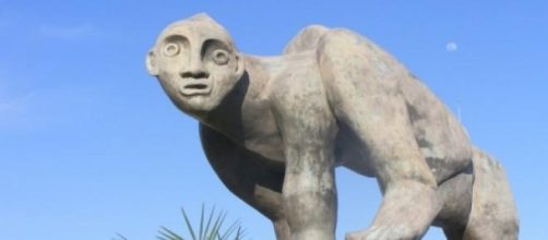 marcando territorio como una fiera