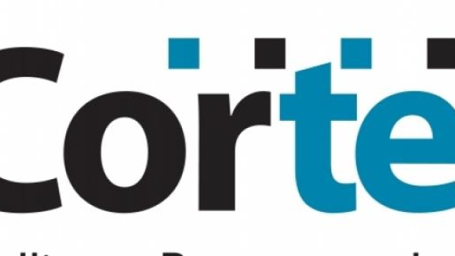 Mediatek e Qualcomm utilizzano architetture Cortex