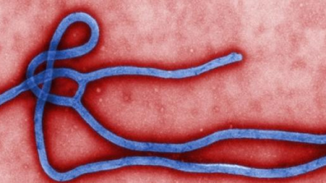 Infermiere italiano &egrave; risultato positivo al test