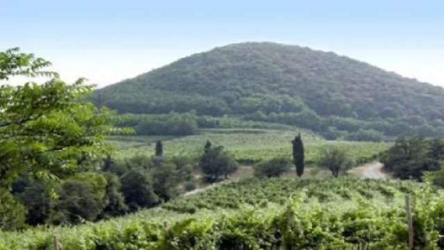 Il Premier Renzi non si accontenta: sul Pil vuole