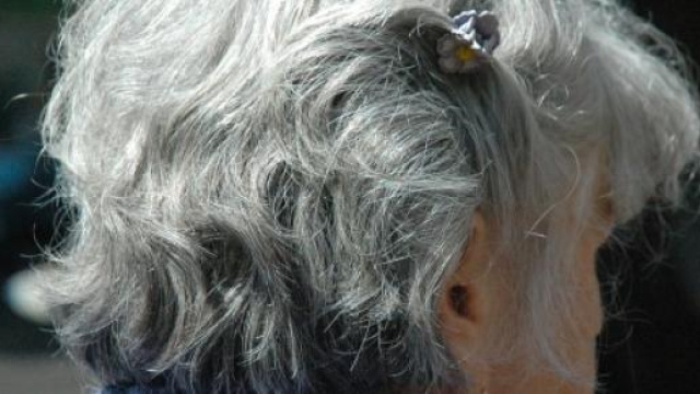 Riforma pensioni 2015, sui rimborsi parla Boeri