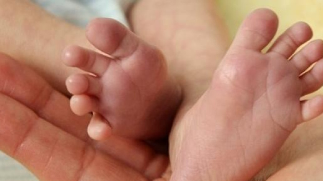 Assegni familiari: al via il bonus beb&egrave; 2015