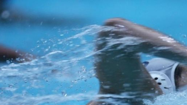 Pallanuoto femminile-Plebiscito Padova