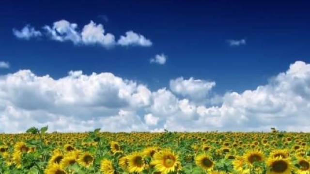 Previsioni meteo giugno 2015: parte la vera estate