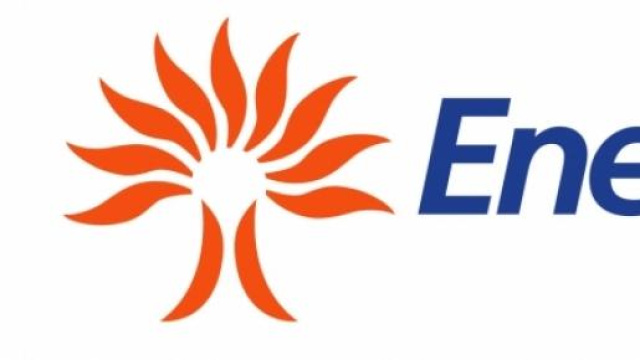 Il grande distributore di energia elettrica Enel